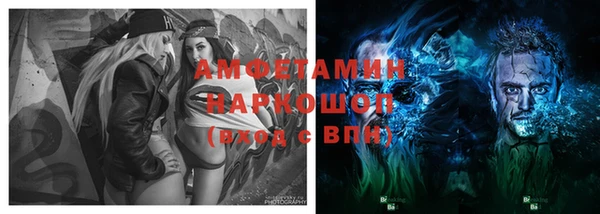 стаф Дмитриев
