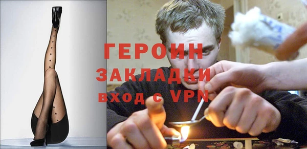 индика Дмитров