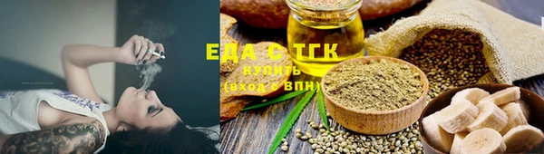 индика Дмитров