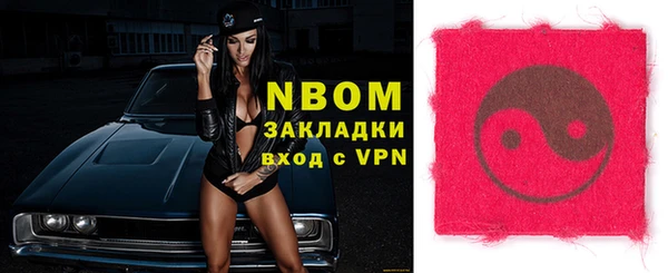 индика Дмитров