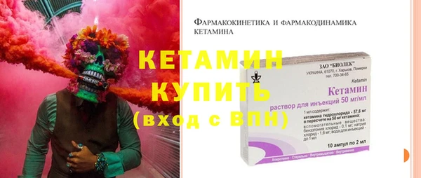 индика Дмитров