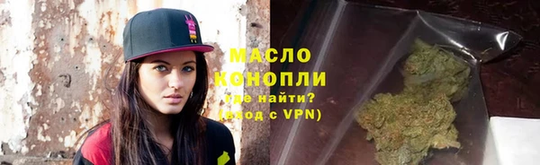 индика Дмитров