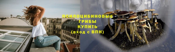 соль курить ск Дмитровск