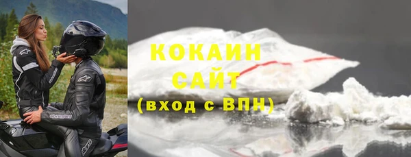 стаф Дмитриев