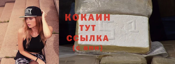 стаф Дмитриев