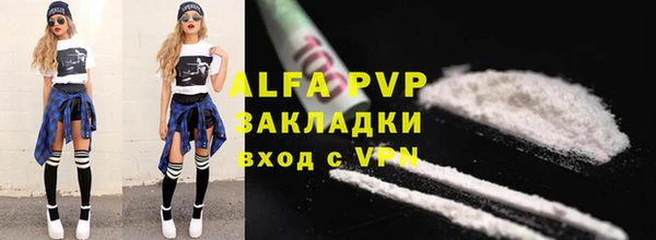 индика Дмитров