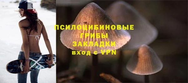 соль курить ск Дмитровск