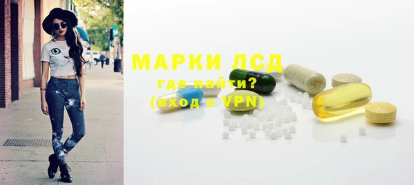 стаф Дмитриев