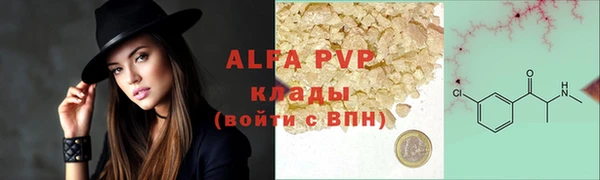 индика Дмитров