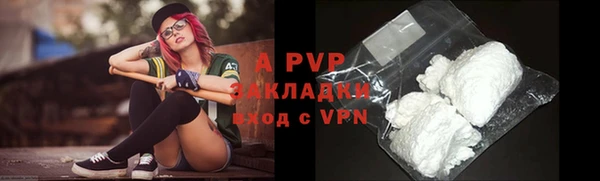 индика Дмитров