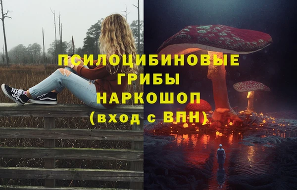 соль курить ск Дмитровск