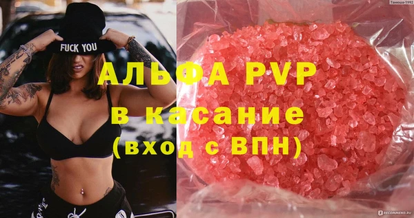 индика Дмитров