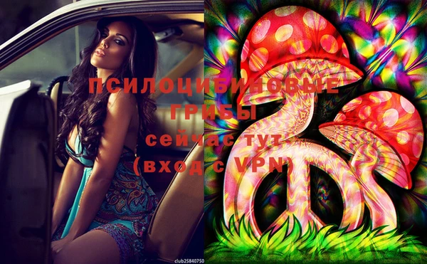 индика Дмитров
