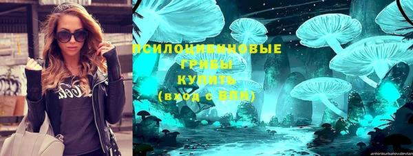 соль курить ск Дмитровск