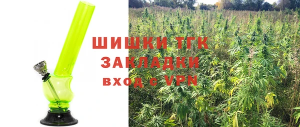 стаф Дмитриев