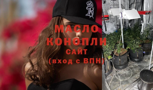 индика Дмитров