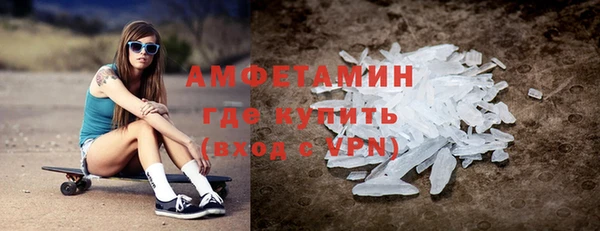 индика Дмитров