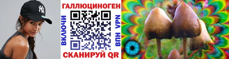 Псилоцибиновые грибы Cubensis  Туймазы 