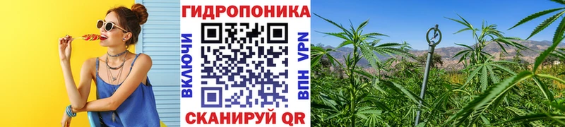 Бошки Шишки SATIVA & INDICA Туймазы